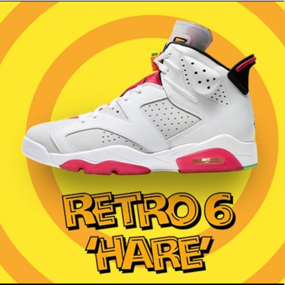 Jordan Retro 6 HAREs